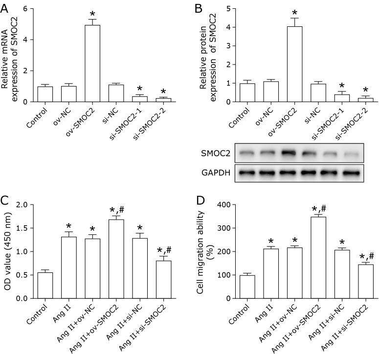 https://cdn.ncbi.nlm.nih.gov/pmc/blobs/4de6/10493216/3caad4651a24/jcbn22-100f02.jpg