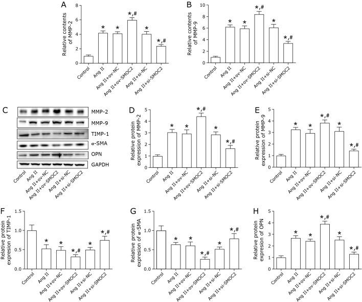 https://cdn.ncbi.nlm.nih.gov/pmc/blobs/4de6/10493216/bca010f4ed8c/jcbn22-100f03.jpg