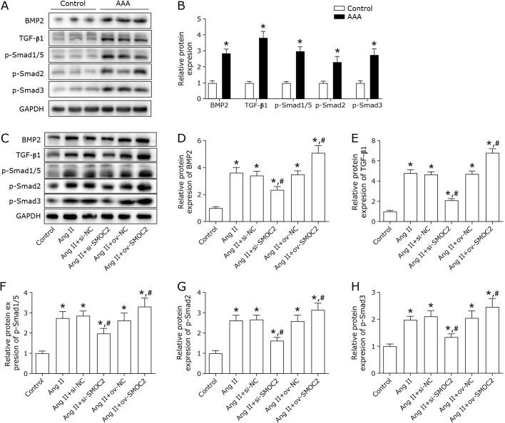 https://cdn.ncbi.nlm.nih.gov/pmc/blobs/4de6/10493216/dd5a4d79d2b2/jcbn22-100f04.jpg
