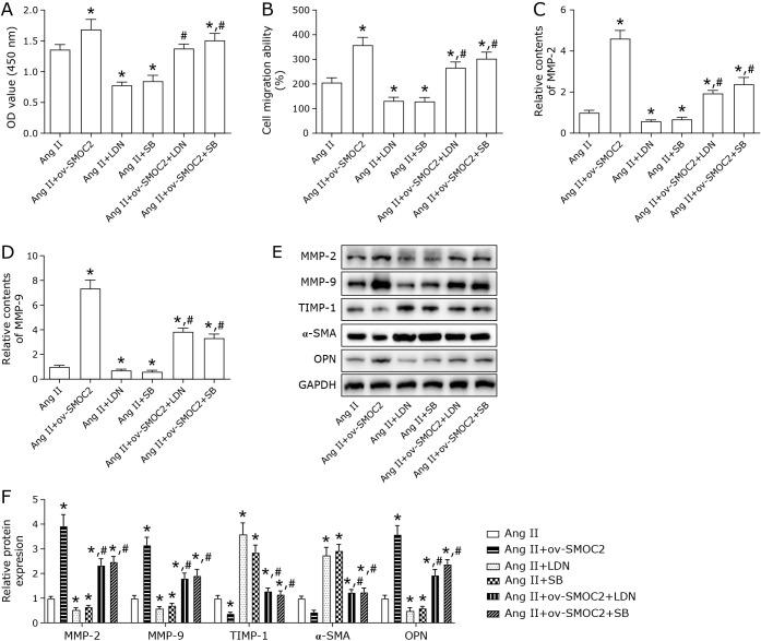 https://cdn.ncbi.nlm.nih.gov/pmc/blobs/4de6/10493216/effa019319b1/jcbn22-100f05.jpg
