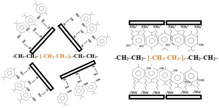 https://cdn.ncbi.nlm.nih.gov/pmc/blobs/4de7/7352687/f6aeb0df6e1a/nanomaterials-10-01027-g003.jpg