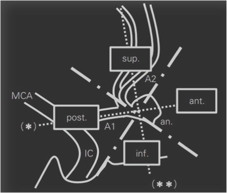 https://cdn.ncbi.nlm.nih.gov/pmc/blobs/4dea/10758962/ec1bf06a303f/gr1.jpg
