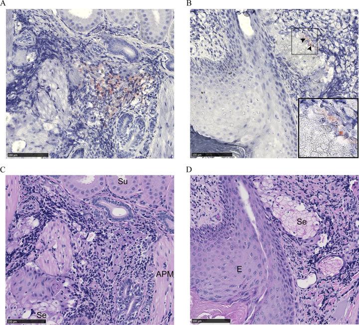 https://cdn.ncbi.nlm.nih.gov/pmc/blobs/4deb/9529147/31e8756601c9/pone.0275375.g003.jpg
