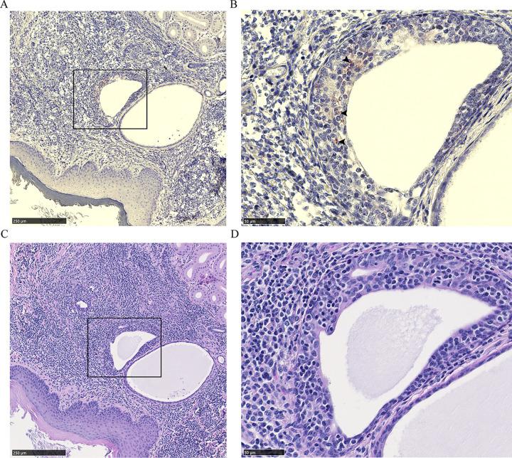 https://cdn.ncbi.nlm.nih.gov/pmc/blobs/4deb/9529147/c640264031ac/pone.0275375.g004.jpg