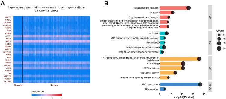 https://cdn.ncbi.nlm.nih.gov/pmc/blobs/4dec/8560065/a125f90858af/IJGM-14-7235-g0004.jpg