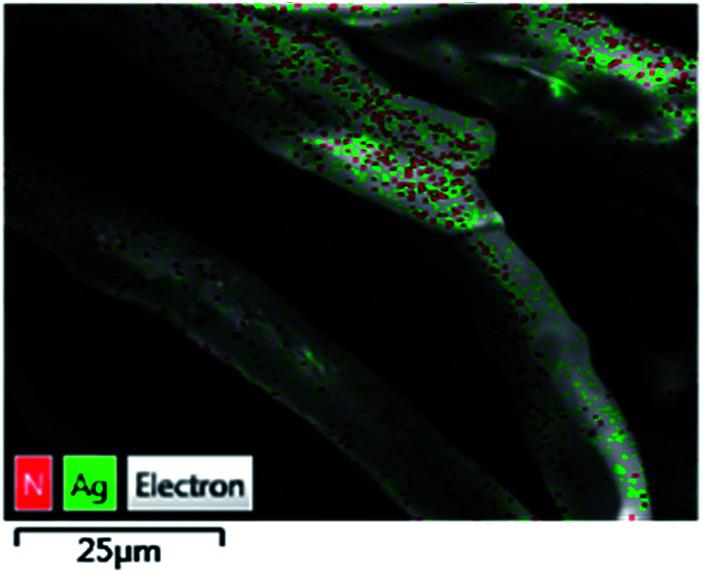 https://cdn.ncbi.nlm.nih.gov/pmc/blobs/4dec/9078239/f7325b1f1581/c7ra13257c-f5.jpg