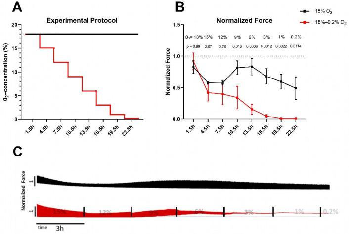 https://cdn.ncbi.nlm.nih.gov/pmc/blobs/4ded/11720517/1db9b22abed8/ijms-26-00218-g001.jpg