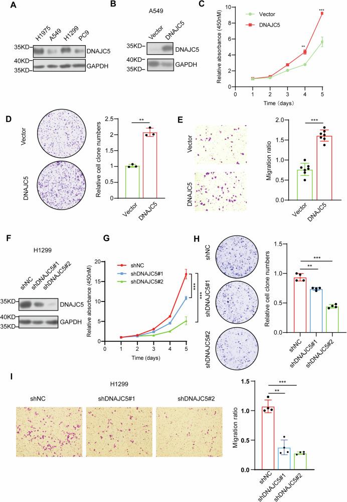 https://cdn.ncbi.nlm.nih.gov/pmc/blobs/4dee/12081771/e7307fdca60d/42003_2025_8191_Fig2_HTML.jpg