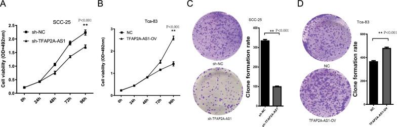 https://cdn.ncbi.nlm.nih.gov/pmc/blobs/4dee/9074241/5a380fade73a/12903_2022_2203_Fig5_HTML.jpg