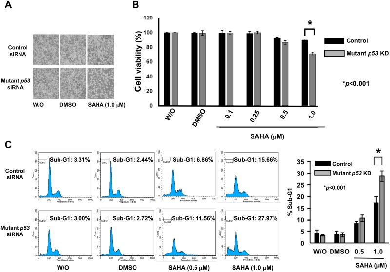 https://cdn.ncbi.nlm.nih.gov/pmc/blobs/4df5/5495219/5982ddd8ea0b/pone.0179884.g004.jpg
