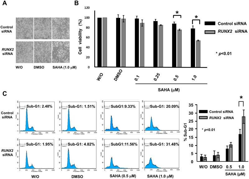 https://cdn.ncbi.nlm.nih.gov/pmc/blobs/4df5/5495219/a3b4db0a3e94/pone.0179884.g006.jpg