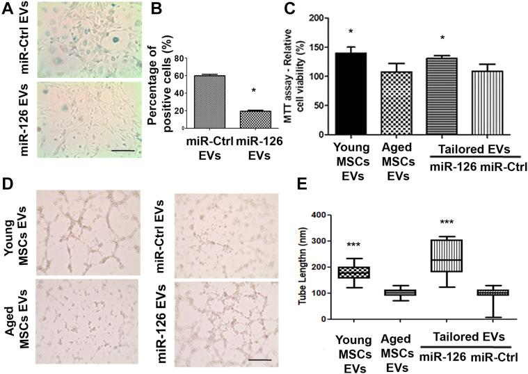 https://cdn.ncbi.nlm.nih.gov/pmc/blobs/4df6/7691285/971473df2d12/gr6.jpg