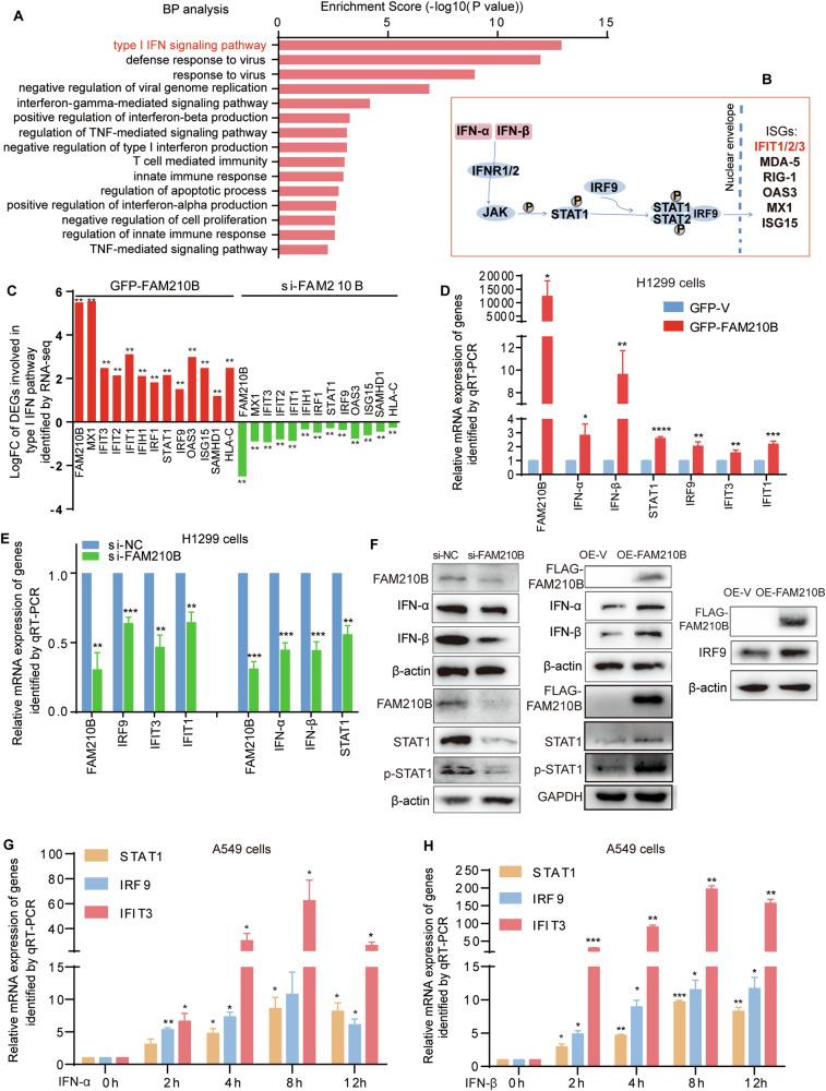 https://cdn.ncbi.nlm.nih.gov/pmc/blobs/4df8/11791038/2a86af4df411/41419_2025_7375_Fig4_HTML.jpg
