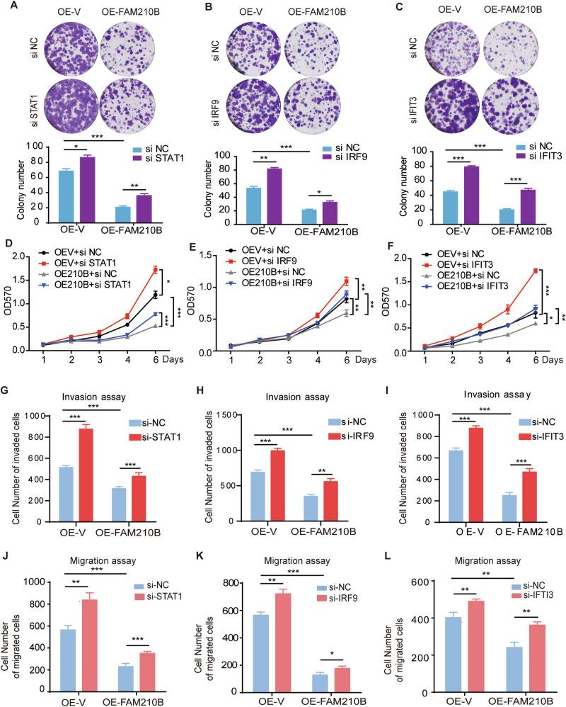 https://cdn.ncbi.nlm.nih.gov/pmc/blobs/4df8/11791038/e02c6fd5df7a/41419_2025_7375_Fig5_HTML.jpg