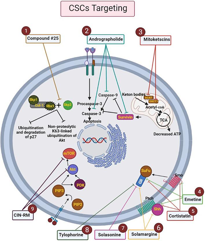 https://cdn.ncbi.nlm.nih.gov/pmc/blobs/4df8/8899123/5a1f26ecd704/fphar-13-768556-g003.jpg