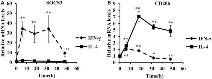 https://cdn.ncbi.nlm.nih.gov/pmc/blobs/4dfb/5296311/9b817c5dee8a/fimmu-08-00092-g001.jpg