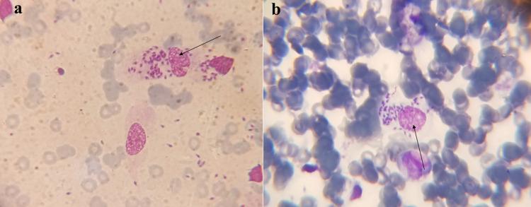 https://cdn.ncbi.nlm.nih.gov/pmc/blobs/4dfb/9135282/45478a769eab/pone.0268801.g003.jpg