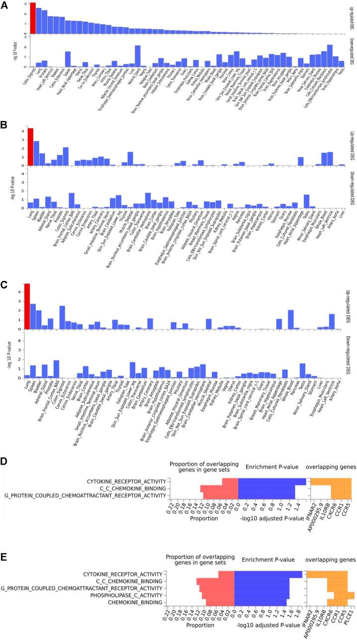 https://cdn.ncbi.nlm.nih.gov/pmc/blobs/4dfb/9493274/d260273f845a/fgene-13-933148-g002.jpg