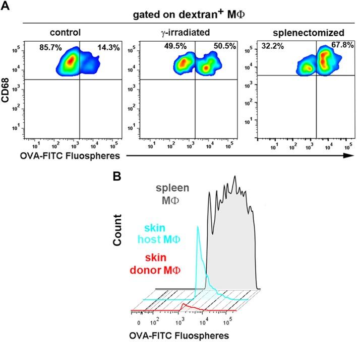 https://cdn.ncbi.nlm.nih.gov/pmc/blobs/4dfc/4961461/7165601fe7b5/elife-15251-fig8-figsupp1.jpg