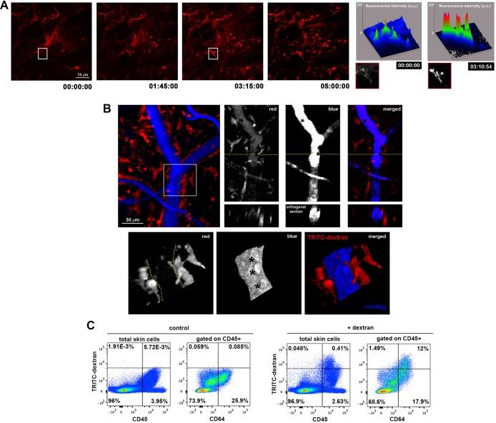 https://cdn.ncbi.nlm.nih.gov/pmc/blobs/4dfc/4961461/7c912221e5c0/elife-15251-fig1.jpg