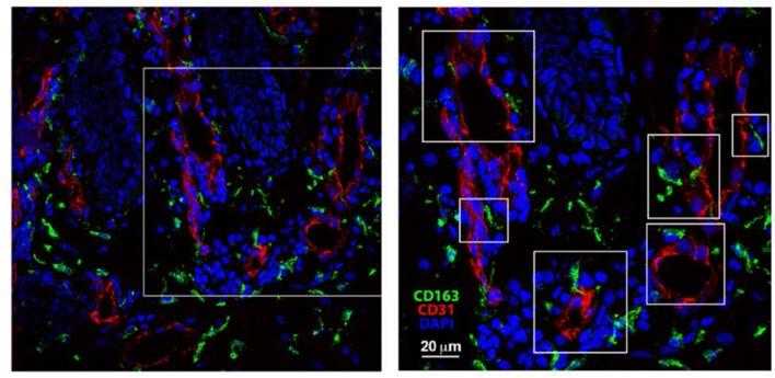 https://cdn.ncbi.nlm.nih.gov/pmc/blobs/4dfc/4961461/e028132c9f92/elife-15251-resp-fig1.jpg