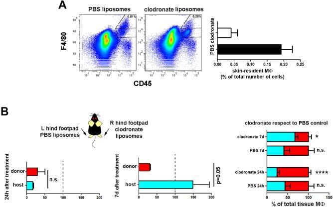 https://cdn.ncbi.nlm.nih.gov/pmc/blobs/4dfc/4961461/e1bae7396f61/elife-15251-fig5-figsupp1.jpg
