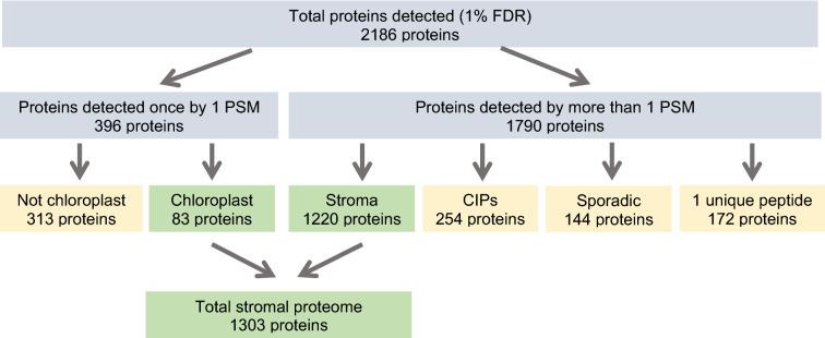 https://cdn.ncbi.nlm.nih.gov/pmc/blobs/4dfc/7513546/9e0b3eaba63b/13007_2020_667_Fig4_HTML.jpg