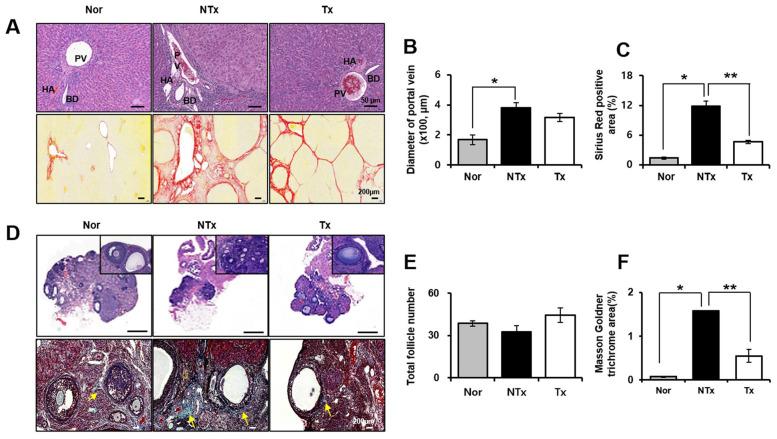 https://cdn.ncbi.nlm.nih.gov/pmc/blobs/4dfd/7835021/3f5e96428afe/aging-13-202348-g001.jpg