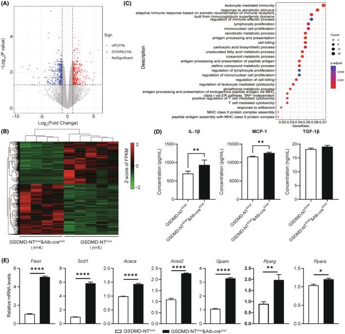 https://cdn.ncbi.nlm.nih.gov/pmc/blobs/4dff/11798734/0fc6e9ccca76/AME2-8-114-g002.jpg