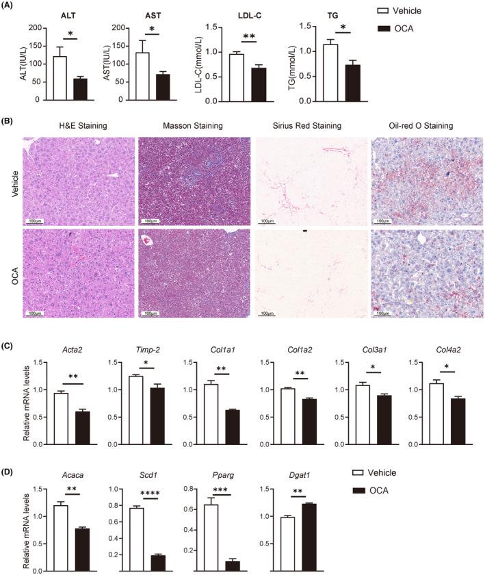 https://cdn.ncbi.nlm.nih.gov/pmc/blobs/4dff/11798734/a078ecef95ab/AME2-8-114-g003.jpg
