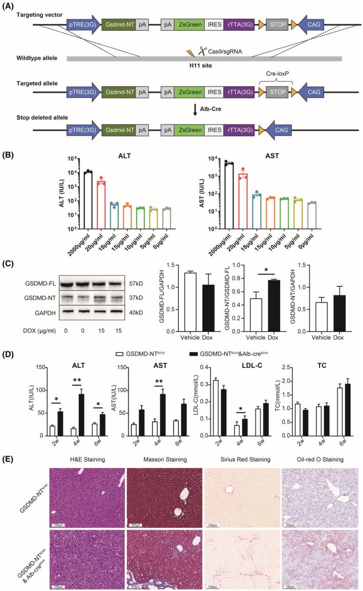 https://cdn.ncbi.nlm.nih.gov/pmc/blobs/4dff/11798734/e574e2a2ce79/AME2-8-114-g004.jpg