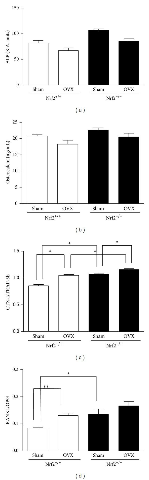https://cdn.ncbi.nlm.nih.gov/pmc/blobs/4dff/4121150/6abbdad1f5bf/OMCL2014-726590.003.jpg