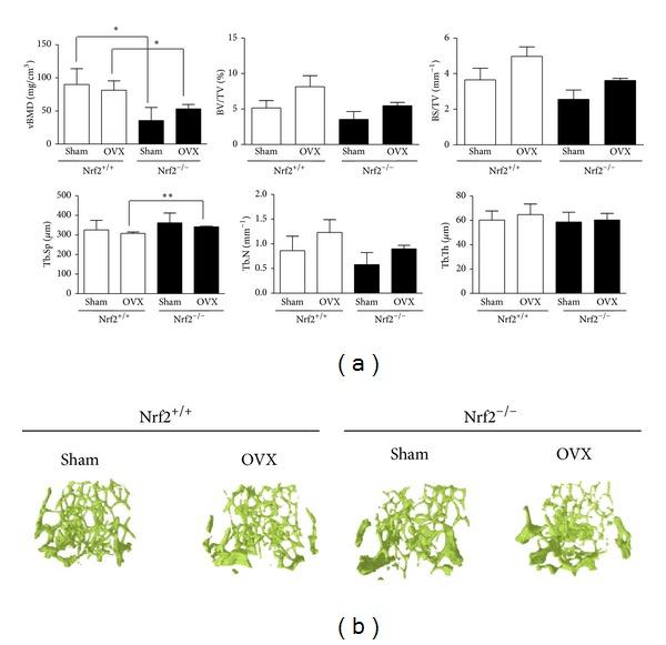 https://cdn.ncbi.nlm.nih.gov/pmc/blobs/4dff/4121150/8dd2c3e50e69/OMCL2014-726590.001.jpg