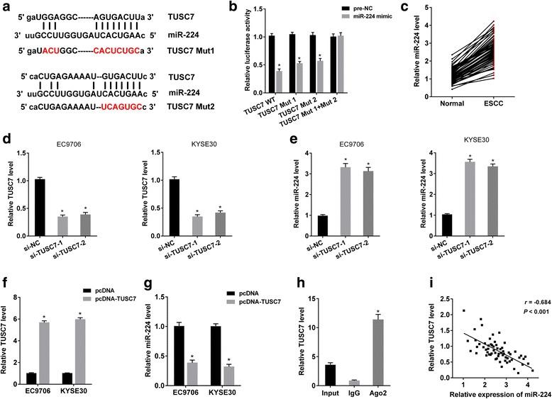 https://cdn.ncbi.nlm.nih.gov/pmc/blobs/4dff/5848549/319bcb869612/13046_2018_724_Fig2_HTML.jpg