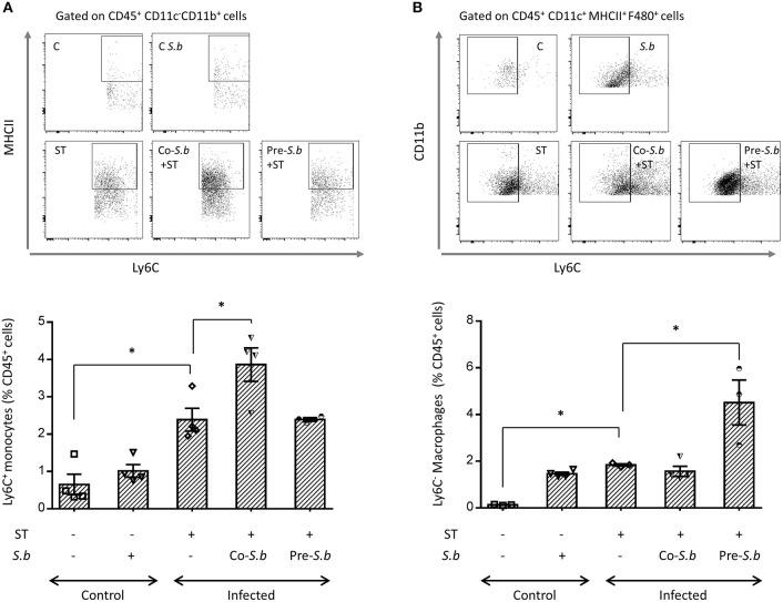https://cdn.ncbi.nlm.nih.gov/pmc/blobs/4dff/6455222/9deeaf149a23/fimmu-10-00643-g0002.jpg