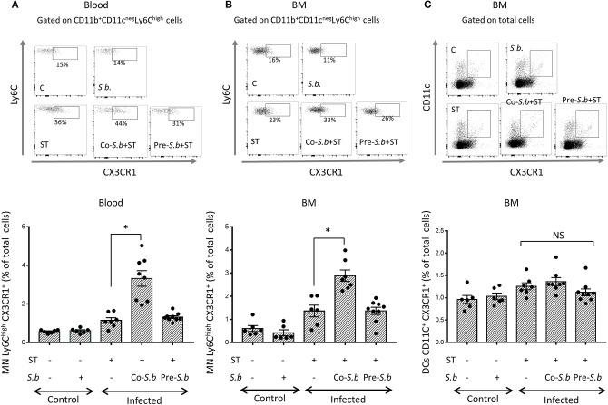 https://cdn.ncbi.nlm.nih.gov/pmc/blobs/4dff/6455222/a5e49bb59db6/fimmu-10-00643-g0003.jpg