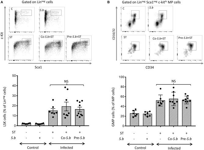 https://cdn.ncbi.nlm.nih.gov/pmc/blobs/4dff/6455222/b590dbaf4d83/fimmu-10-00643-g0004.jpg