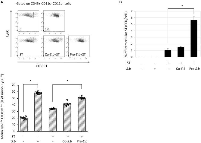 https://cdn.ncbi.nlm.nih.gov/pmc/blobs/4dff/6455222/be555f17a884/fimmu-10-00643-g0005.jpg