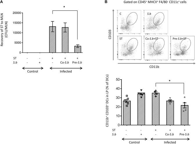 https://cdn.ncbi.nlm.nih.gov/pmc/blobs/4dff/6455222/d928dc116260/fimmu-10-00643-g0001.jpg