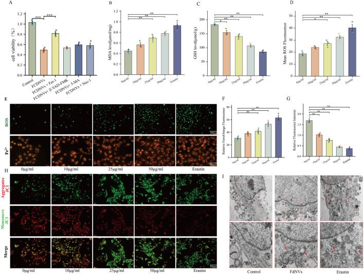 https://cdn.ncbi.nlm.nih.gov/pmc/blobs/4e00/12241094/53799446cc3e/fphar-16-1636149-g004.jpg