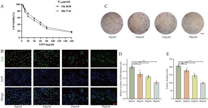 https://cdn.ncbi.nlm.nih.gov/pmc/blobs/4e00/12241094/78f071c7a464/fphar-16-1636149-g002.jpg
