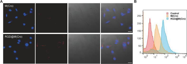 https://cdn.ncbi.nlm.nih.gov/pmc/blobs/4e01/11914822/3f9ab7d02ac7/gr2.jpg