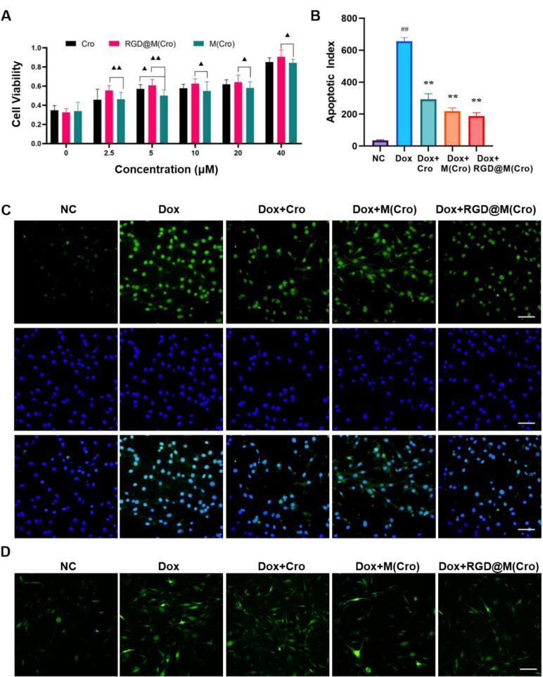 https://cdn.ncbi.nlm.nih.gov/pmc/blobs/4e01/11914822/cf9bb5b86743/gr3.jpg