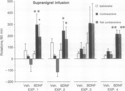 https://cdn.ncbi.nlm.nih.gov/pmc/blobs/4e02/50547/483cc423ea95/pnas01097-0251-a.jpg