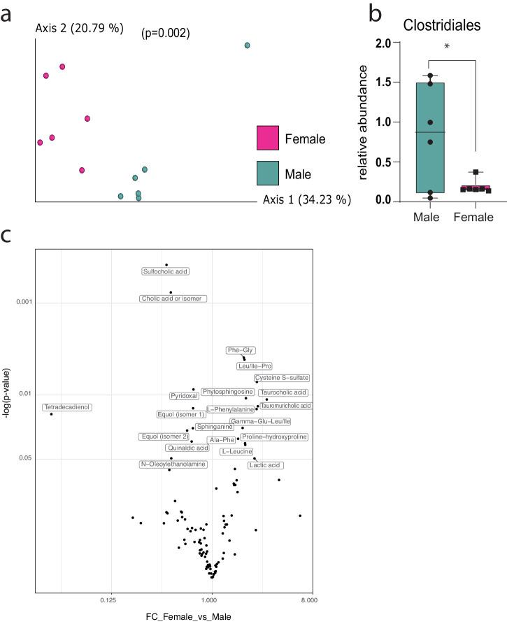 https://cdn.ncbi.nlm.nih.gov/pmc/blobs/4e03/11271554/0db0c8b02a05/42003_2024_6470_Fig1_HTML.jpg