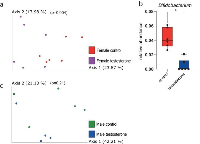 https://cdn.ncbi.nlm.nih.gov/pmc/blobs/4e03/11271554/790aa9589532/42003_2024_6470_Fig5_HTML.jpg