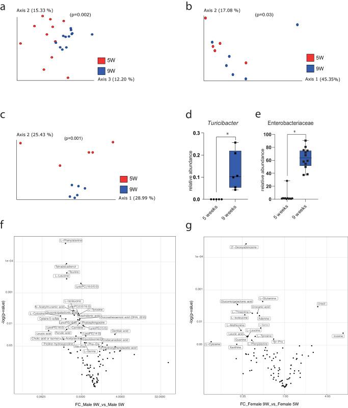 https://cdn.ncbi.nlm.nih.gov/pmc/blobs/4e03/11271554/cbed471c76f9/42003_2024_6470_Fig2_HTML.jpg