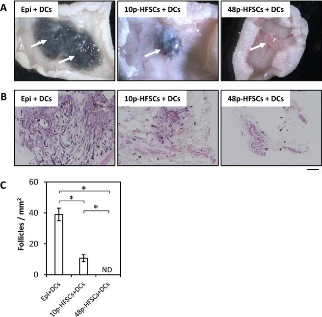 https://cdn.ncbi.nlm.nih.gov/pmc/blobs/4e03/9247072/6ea793bca3ae/41598_2022_15354_Fig6_HTML.jpg