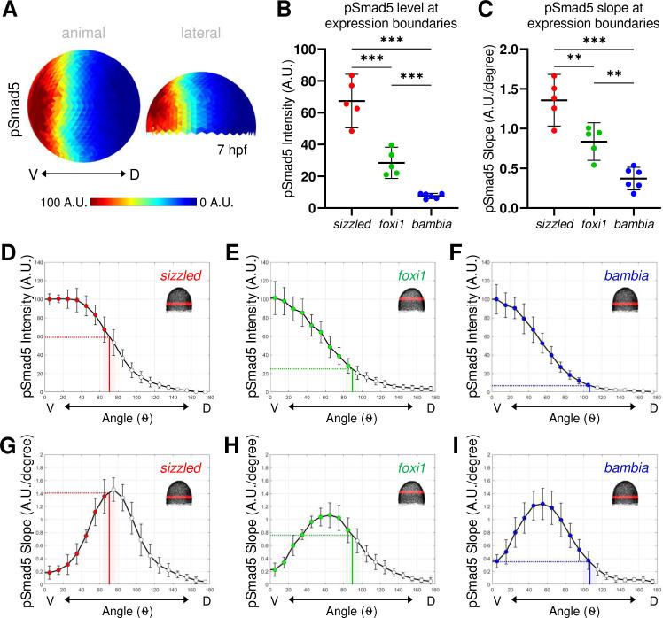 https://cdn.ncbi.nlm.nih.gov/pmc/blobs/4e06/7857602/7d729dc4d0b2/pbio.3001059.g003.jpg
