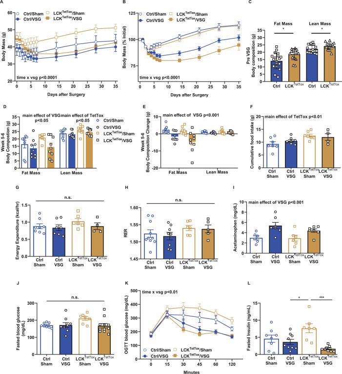 https://cdn.ncbi.nlm.nih.gov/pmc/blobs/4e07/10781422/51b6c2bcc98a/elife-85640-fig6-figsupp2.jpg